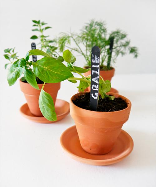 pizarra para plantas_Diy