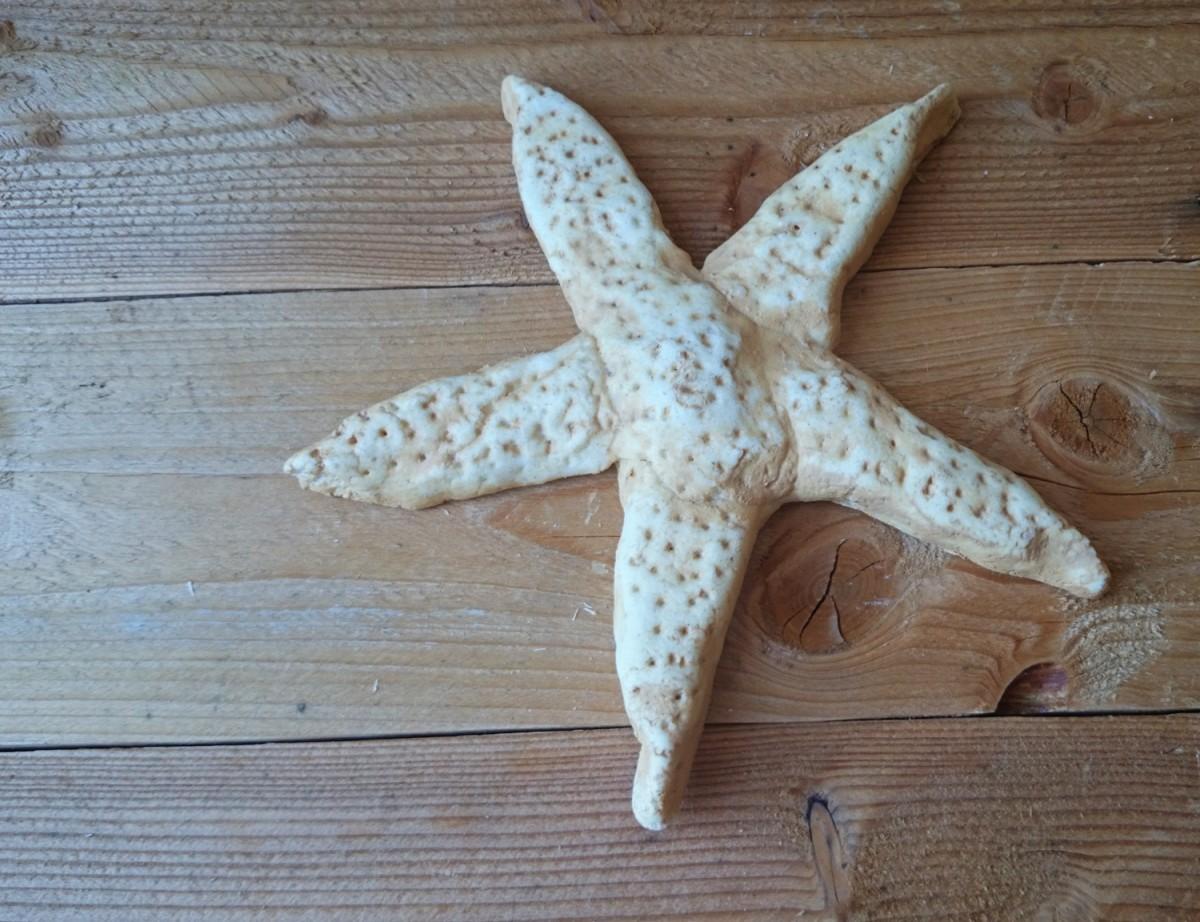 Red de comunicacion distorsionar papel Como hacer tus propias estrellas de mar con pasta de sal | Manualidades