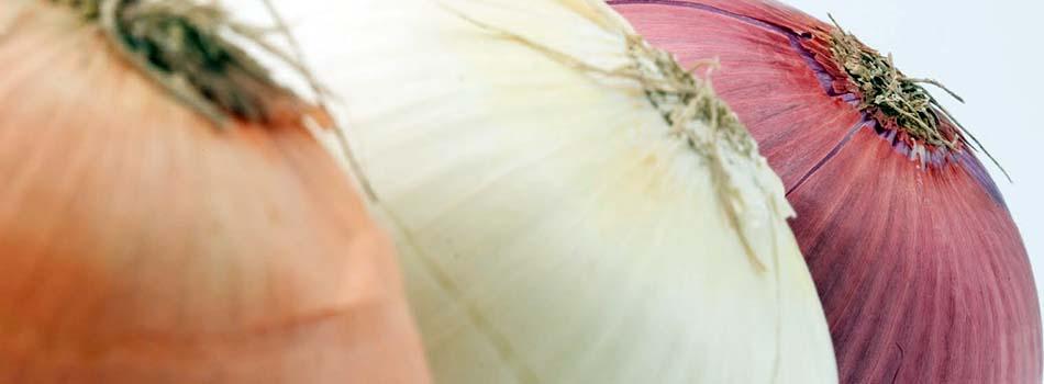 Cebolla beneficios y riesgos para nuestra salud. Tipos de cebollas