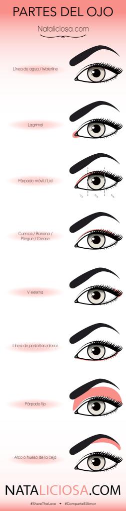 Esquema Partes del Ojo