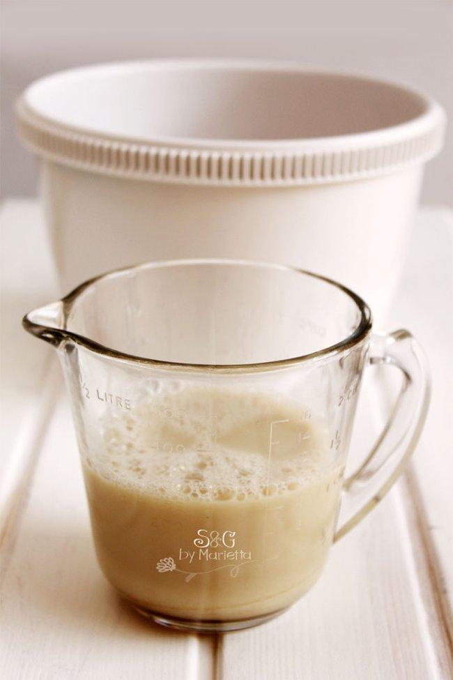 Sapos y Princesas, Horchata de avellana-Sweets and Gifst by Marietta, Murcia, Repostería tradicional, Blog de recetas caseras, Receta Horchata con Thermomix, avellana, Abarán, Norias, Noria de Abarán, leche de avena, avena