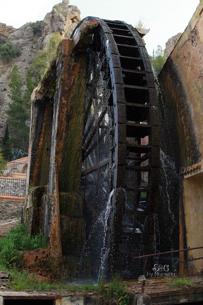 Sapos y Princesas, Horchata de avellana-Sweets and Gifst by Marietta, Murcia, Repostería tradicional, Blog de recetas caseras, Receta Horchata con Thermomix, avellana, Abarán, Norias, Noria de Abarán