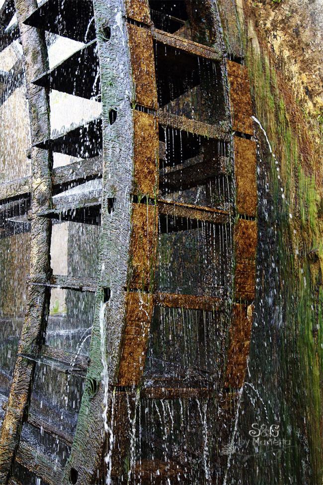 Sapos y Princesas, Horchata de avellana-Sweets and Gifst by Marietta, Murcia, Repostería tradicional, Blog de recetas caseras, Receta Horchata con Thermomix, avellana, Abarán, Norias, Noria de Abarán