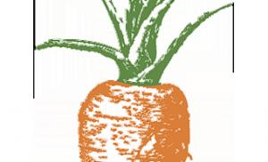 Cómo eliminar la flacidez con zanahoria