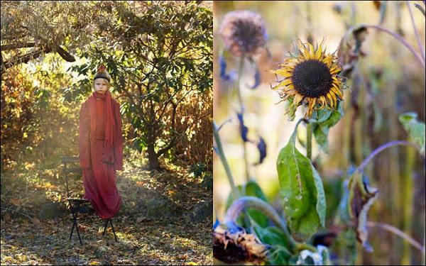 maravillosas fotografías de anna kern