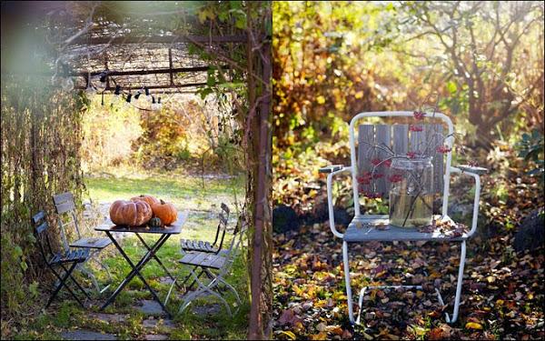 maravillosas fotografías de anna kern