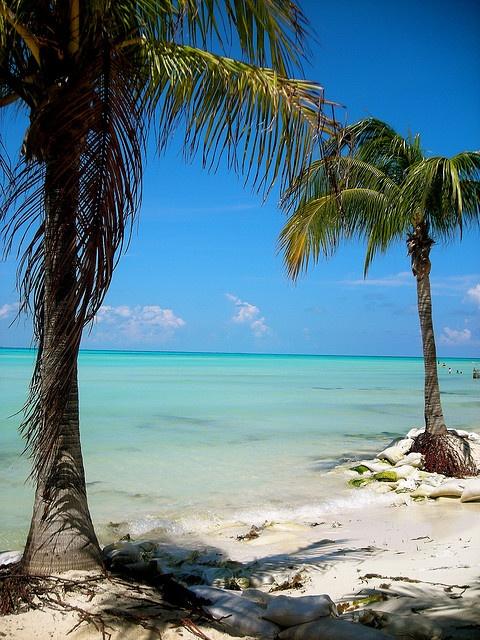 Fuente: pinterest.com