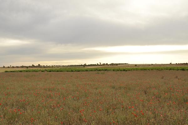 Silvia Godino making of