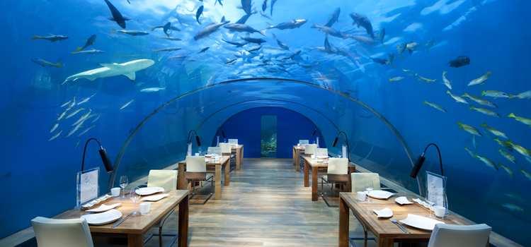restaurante bajo el mar