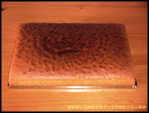 Bizcocho para tartas 001 Tartas de café