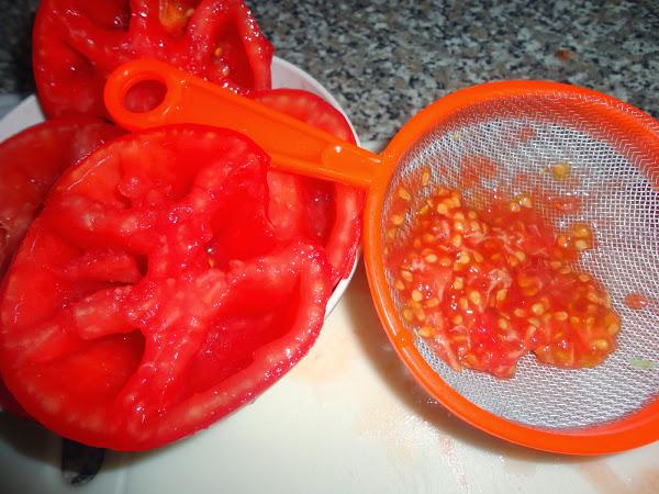 SACANDO SEMILLAS DE TOMATE