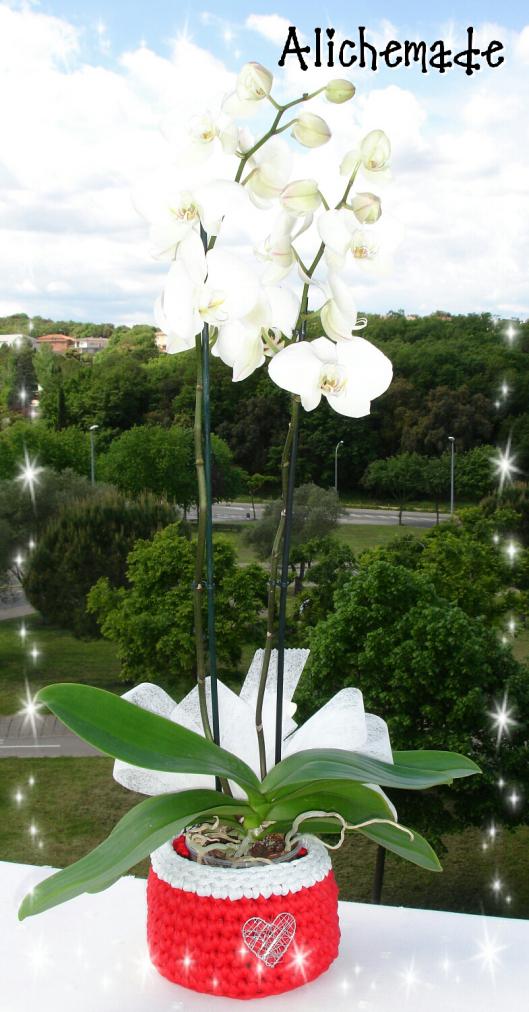 Regalo del día de la madre.