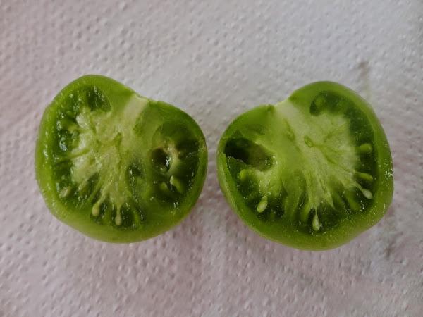 CAVIDAD PRODUCIDA POR UNA ORUGA EN UN TOMATE VERDE