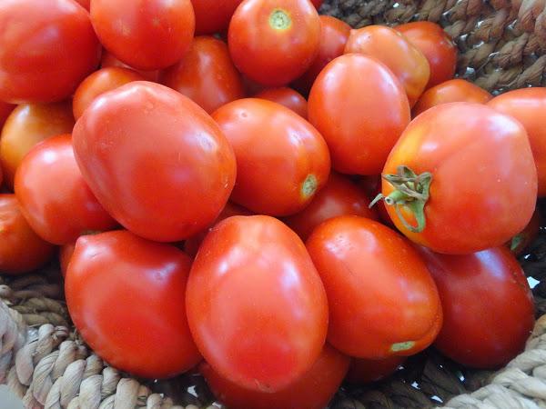 COSECHA DE TOMATES PERA