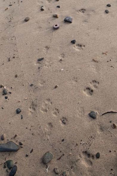 enhanced-buzz-wide-27871-1353885447-9