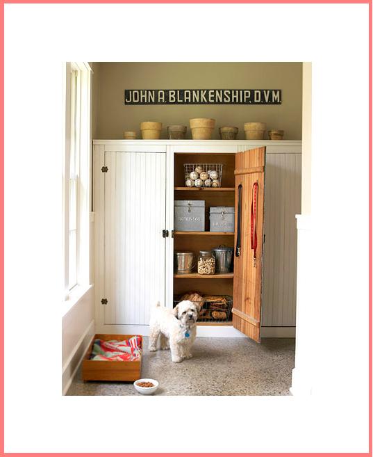 decorar el espacio de tu perro