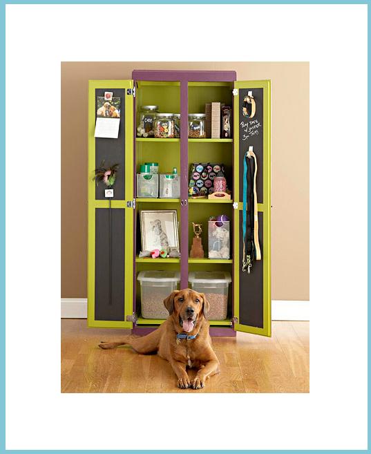 decorar el espacio de tu perro