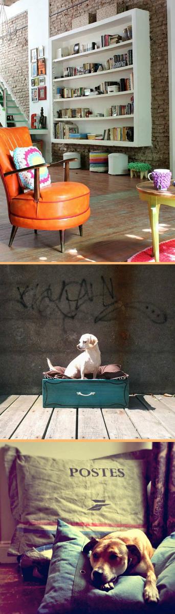 decorar el espacio de tu perro