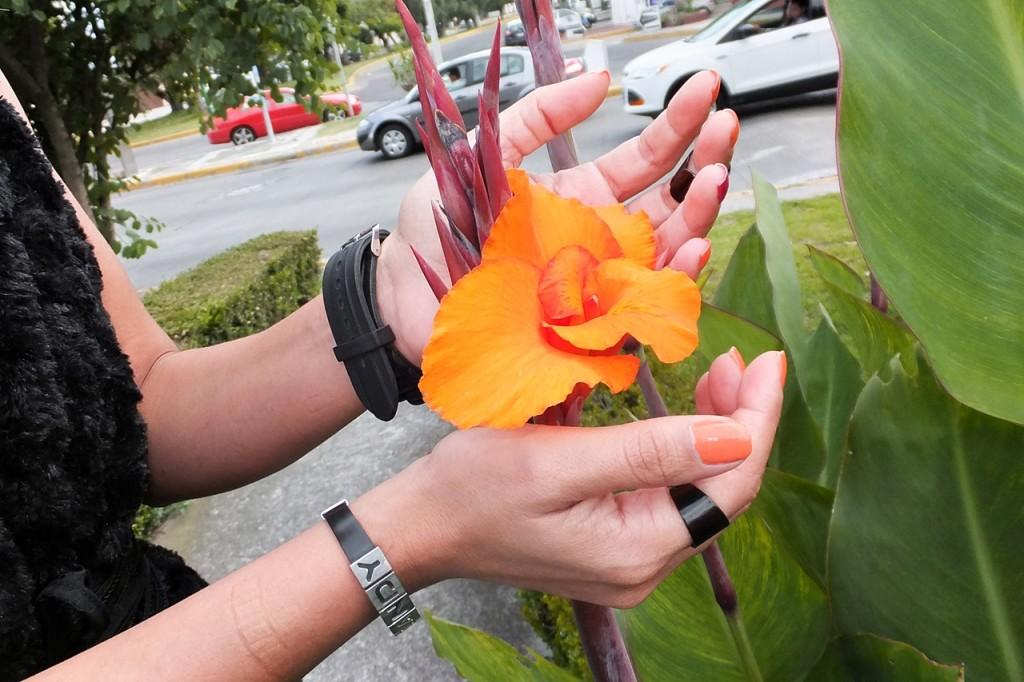 lovelywholesale rings