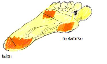 pata Baropodometría. Cuida tus pies