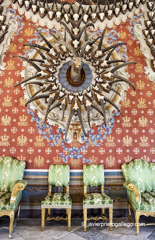 Salón de los Trofeos decorado con trofeos de caza. Castillo de Sarre. Era la residencia estival de los Saboya en Val dAosta. Valle de Aosta. Alpes Italianos. Italia. © Javier Prieto Gallego