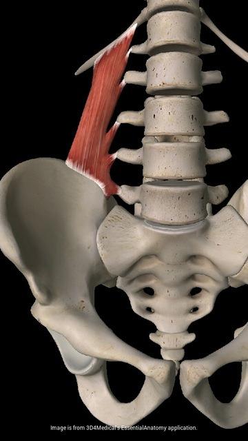 cuadrado_lumbar