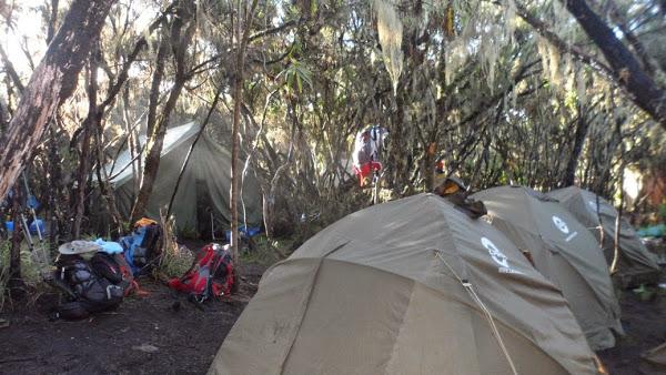 Acampada-en-el-último-campamento-en-medio-de-la-selva