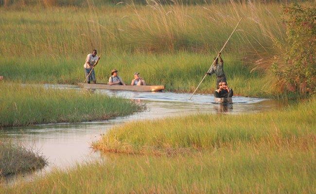 colores-de-boda-luna-de-miel-bostwana