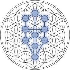 la-geometria-sagrada-floryarbol