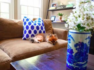 danielleokayinterior (320x200)