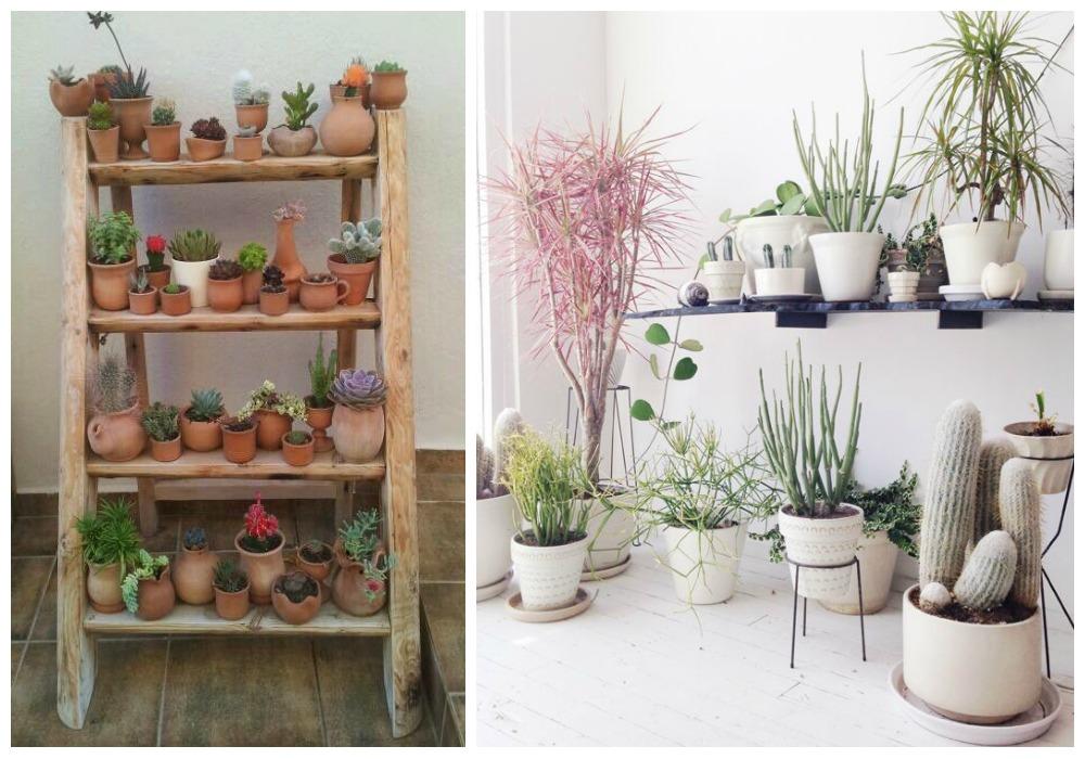 04-decorar-con-cactus-mogollon