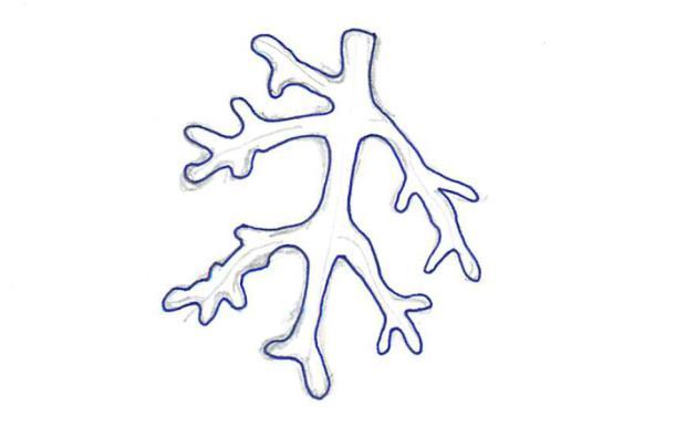 01 Collar Coral DIY lapiperiadenewyorkdiy.wordpress.com