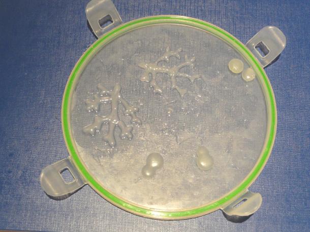 03 Collar Coral DIY lapiperiadenewyorkdiy.wordpress.com