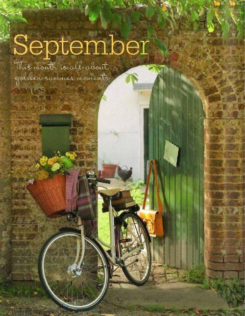 10635946_263624227180148_3913673675972960236_n