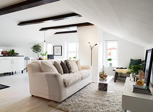 Como distribuir un estudio