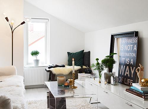 Como distribuir un estudio