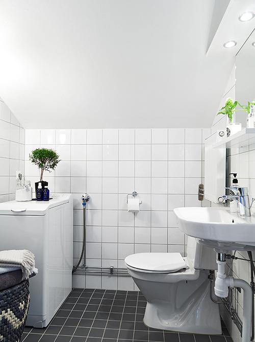 Como distribuir un estudio