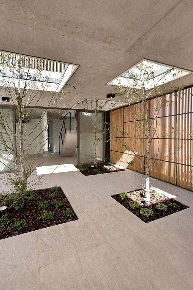 Patios interiores | Decoración