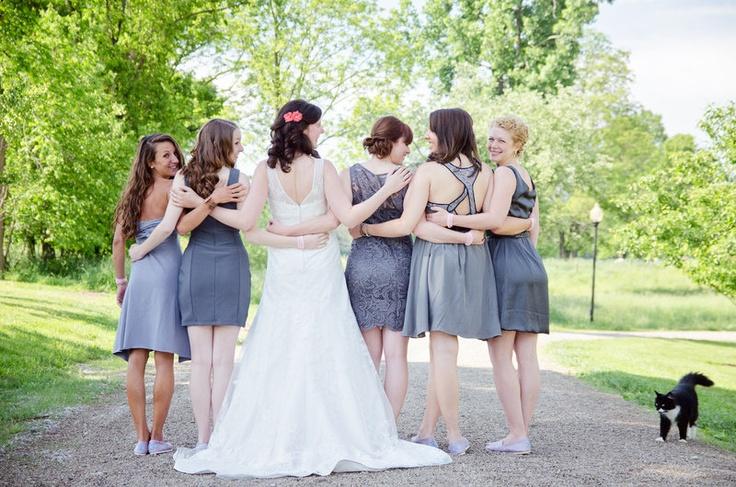 Photobombing by cats