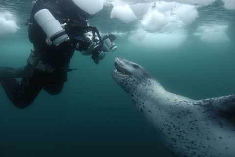 colores-de-boda-viaje-novios-antartida-2
