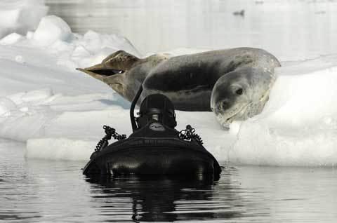 colores-de-boda-viaje-novios-antartida
