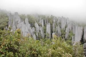 Borneo - Picos en el parque nacional Gunung Mulu National Park, Indonesia