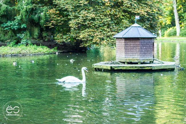 mi-rincon-wedeco-escandinavo-10