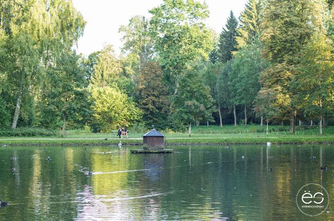 mi-rincon-wedeco-escandinavo-11