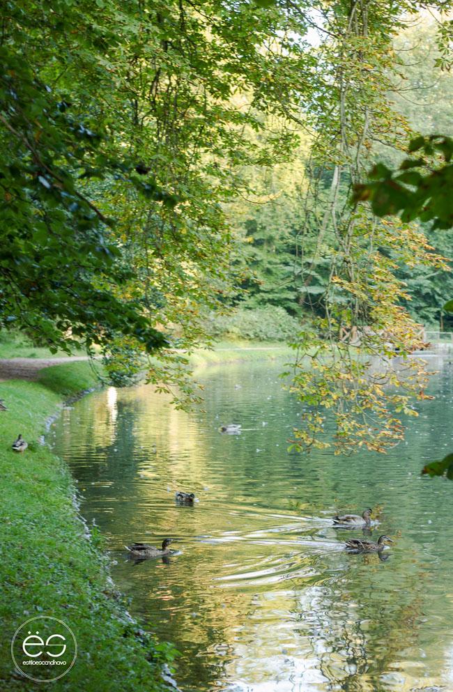 mi-rincon-wedeco-escandinavo-14