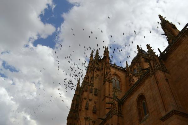 salamanca 