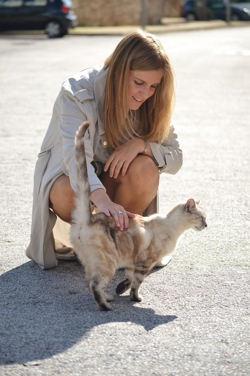 whitedahlia_long_trench12