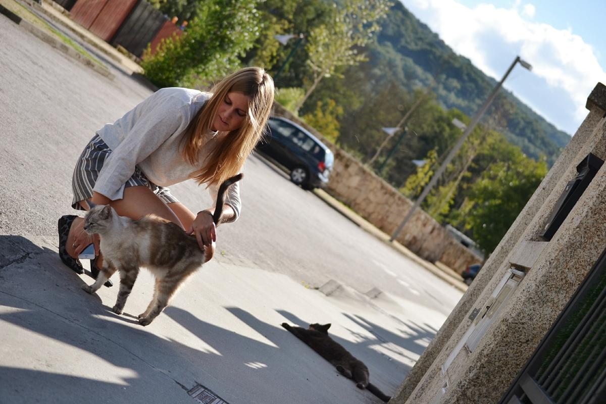 whitedahlia_long_trench27