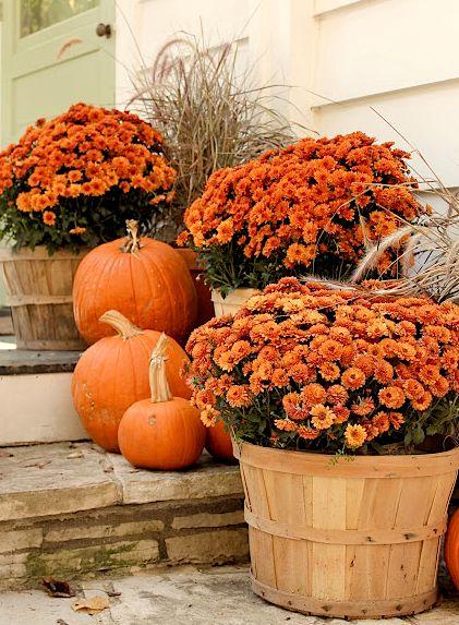 falldecor24