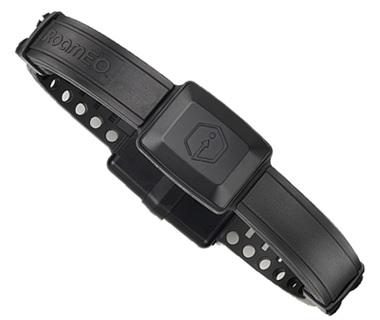 aplicación de Smartphone para localizar a tu gato